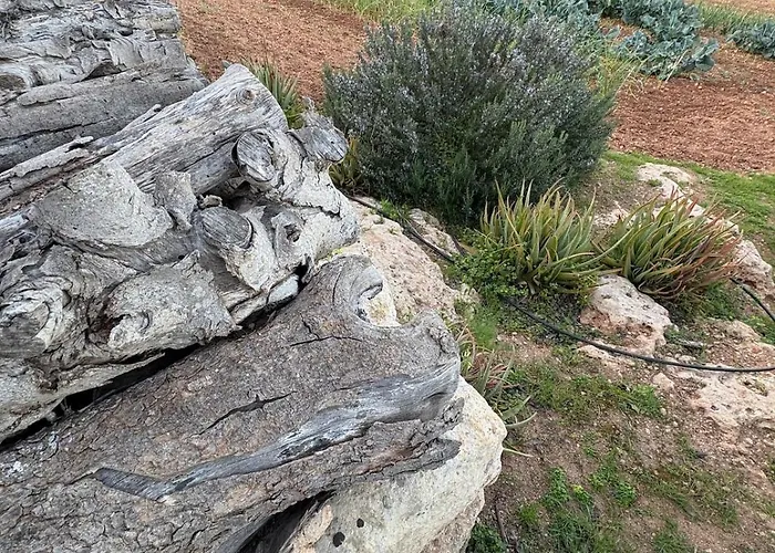 Luxury 3 Bed With Large Outdoor Pools And Gardens Lejlighed *