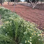 Luxury 3 Bed With Large Outdoor Pools And Gardens Qala