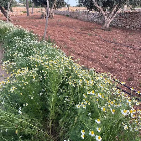 Luxury 3 Bed With Large Outdoor Pools And Gardens Qala
