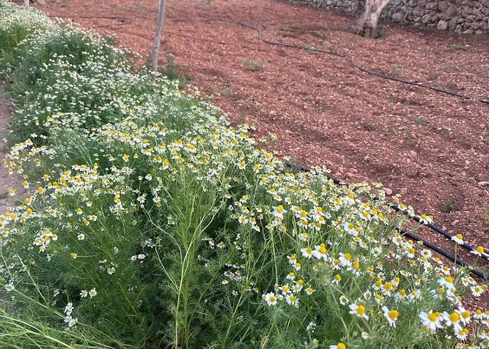 Luxury 3 Bed With Large Outdoor Pools And Gardens Кала